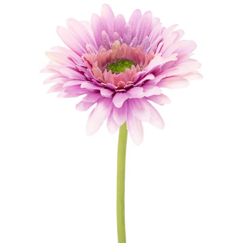 Künstliche Blumen Gerbera Garten Kunstblumen Lila 47cm 6St einkaufen | Floristik21.de