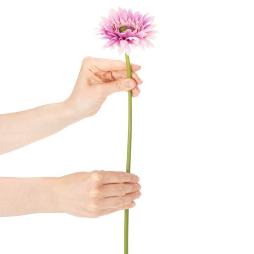 Künstliche Blumen Gerbera Garten Kunstblumen Lila 47cm 6St | Floristik21.de