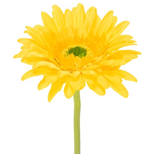 Künstliche Blumen Gerbera Sonnengelb Gartenblume 47cm 6St einkaufen | Floristik21.de