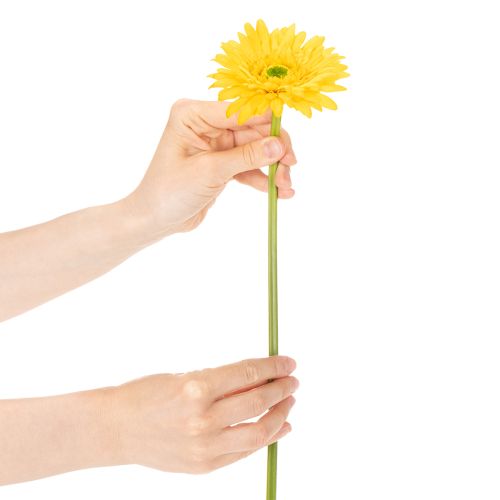 Künstliche Blumen Gerbera Sonnengelb Gartenblume 47cm 6St | Floristik21.de