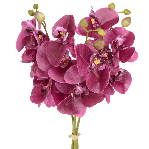 Floristik21 Künstliche Orchideen Lila 56cm 3St – Realistische Kunstblumen für Floristen