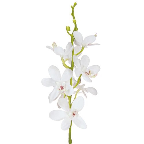 Floristik21 Künstliche Orchideen Weiß 2 Stk Dekozweig Ø3,5-5cm L38cm