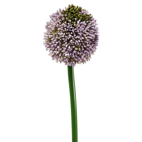 Floristik21.de Kunstblumen Allium Lila Ø10cm L65cm-73694