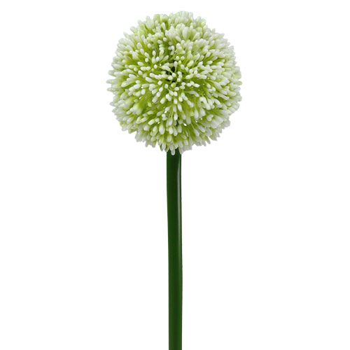 Floristik21 Künstliches Allium Weiß Ø10cm L65cm