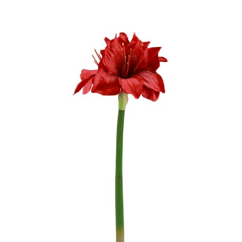 Floristik21 Künstliche Amaryllis Weihnachtsblumen Rot Kunstblumen L40cm