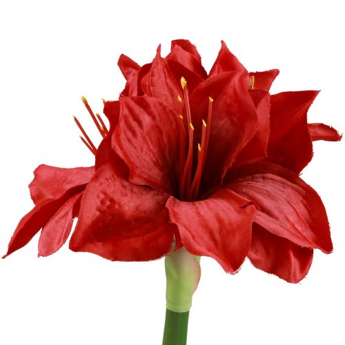 Floristik21 Künstliche Amaryllis Weihnachtsblumen Rot Kunstblumen L40cm