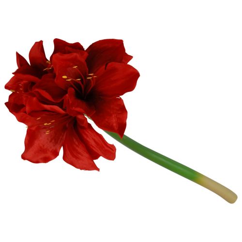Floristik21 Künstliche Amaryllis Weihnachtsblumen Rot Kunstblumen L40cm