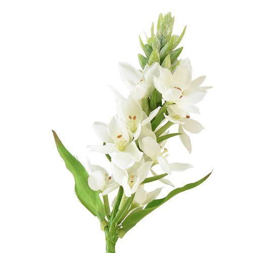 Künstliche Blume Milchstern Weiß 50cm