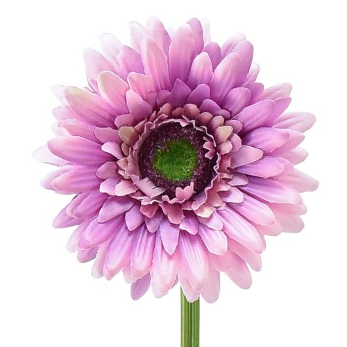 Floristik21 Künstliche Blumen Gerbera Lila 47cm