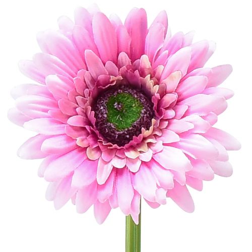 Floristik21 Künstliche Blumen Gerbera Rosa 47cm