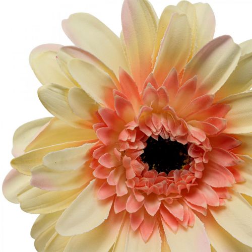 Künstliche Gerbera Blume Kunstblume Apricot Ø11cm L50cm