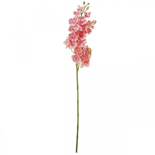 Floristik21 Künstliche Orchideen Deko Kunstblume Orchidee Rosa 71cm
