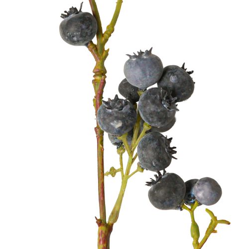 Artikel Künstlicher Dekozweig mit Heidelbeer-Look