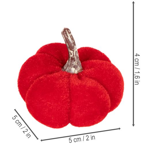 Deko Mini-Kürbisse aus Samt, 5 cm, 3 Farben, 12 Stück | Floristik21.de