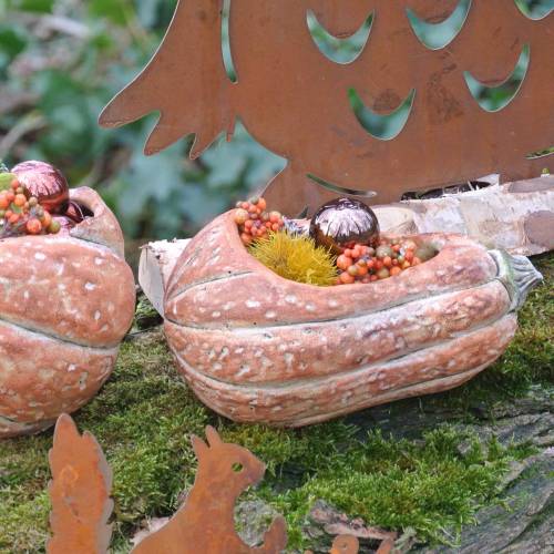 Kürbis zum Bepflanzen Orange 28×15×14cm