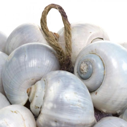 Floristik21 Deko Kugel Seeschnecken groß Maritime Deko zum Aufhängen Ø25cm