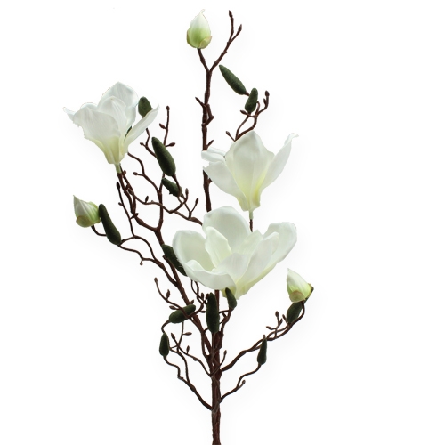 Floristik21 Magnolienzweig künstlich Creme 90cm