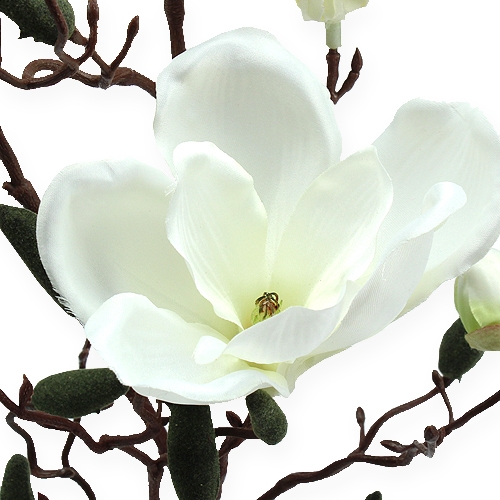 Floristik21 Magnolienzweig künstlich Creme 90cm