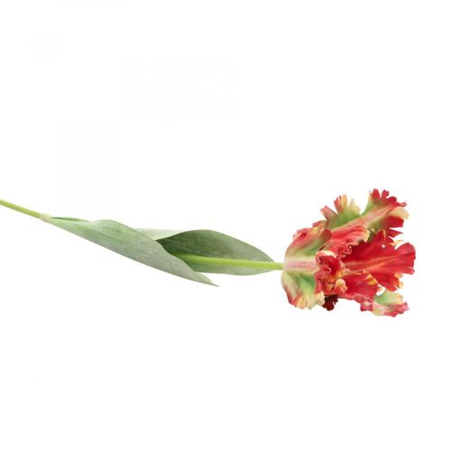 Artikel Kunstblume, Papagei Tulpe Rot Gelb, Frühlingsblume 69cm