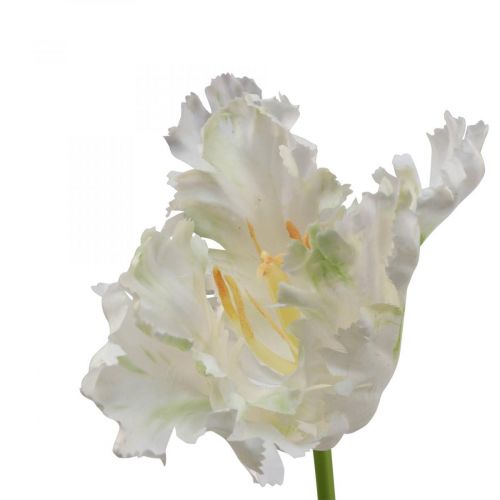 Floristik21 Kunstblume, Papagei Tulpe Weiß Grün, Frühlingsblume 69cm