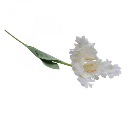 Floristik21 Kunstblume, Papagei Tulpe Weiß Grün, Frühlingsblume 69cm