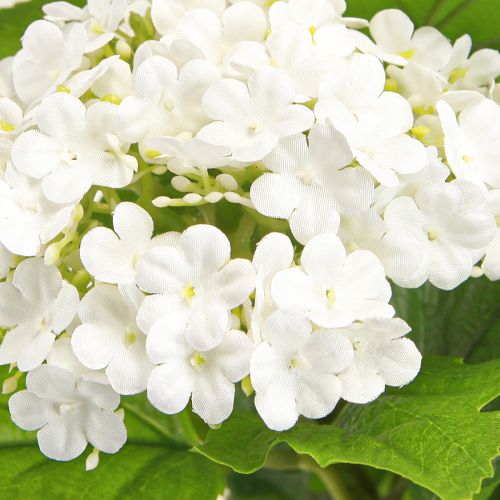 Artikel Kunstblumen Schneeball Viburnum Weiß 60cm 4er Set - Elegante Deko