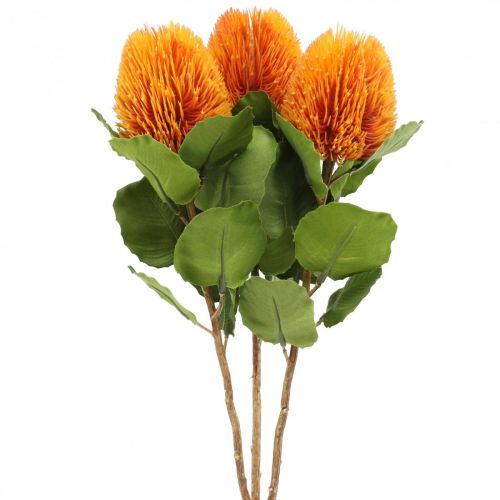 Floristik21 Kunstblumen, Banksia, Proteaceae Orange L58cm H6cm 3 St