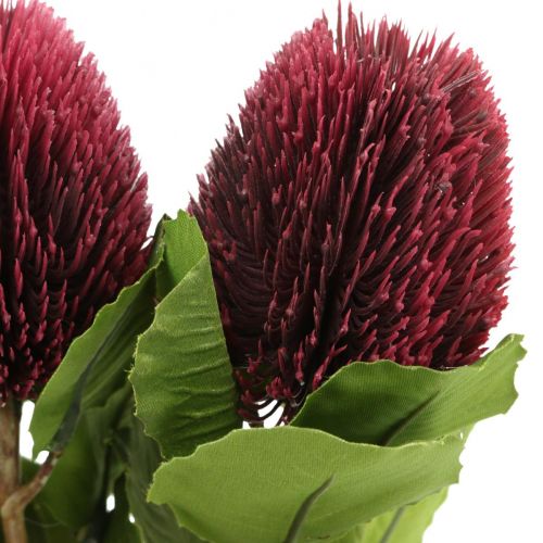 Kunstblumen, Banksia, Proteaceae Weinrot L58cm H6cm 3St