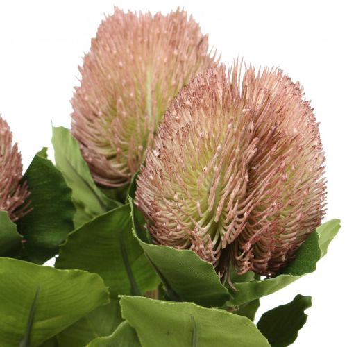 Floristik21 Künstliche Banksia Proteaceae Weiß-Lila L58cm H6cm 3St