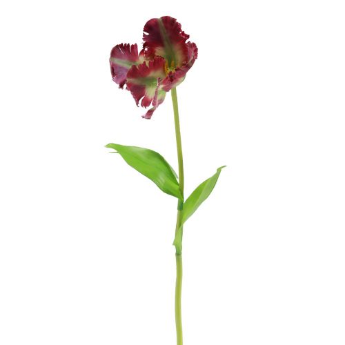 Floristik21 Kunstblume Papageientulpe künstlich Deko Tulpe Lila 63cm