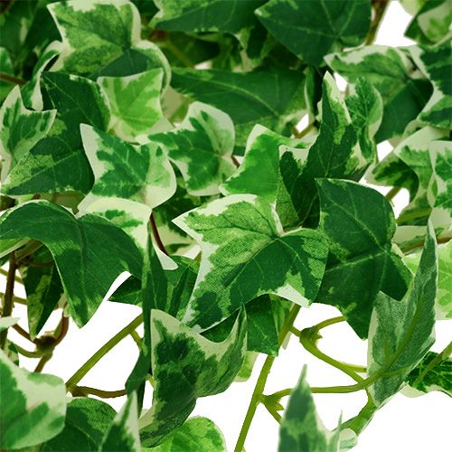 Kunstpflanze Efeuranke Classic grün/weiß 1053Bl/100cm 