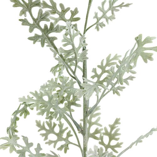 Artikel Kunstpflanzen Silberblatt weiß-grün 40cm 6St