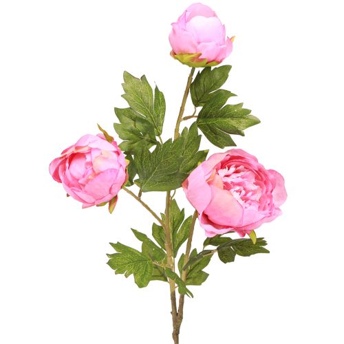Floristik21 Kunstrosen Pfingstrosen Künstlich Pink L80cm 2St - Elegante Deko