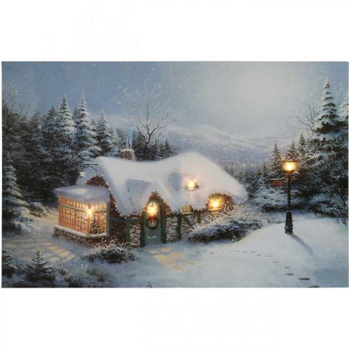 Floristik21 LED Bild Weihnachten Winterlandschaft mit Haus LED Wandbild 58x38cm