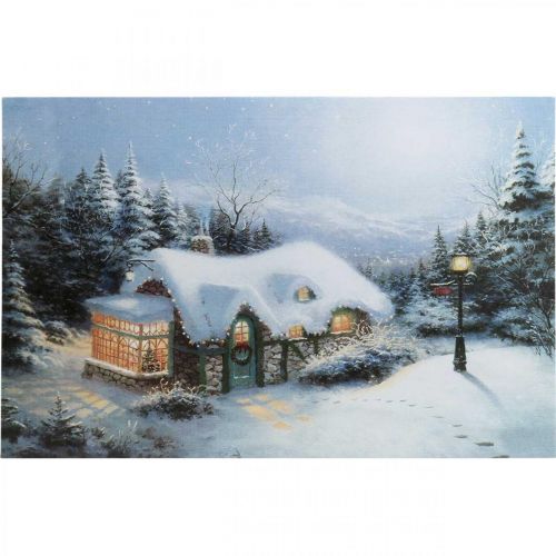 Floristik21 LED Bild Weihnachten Winterlandschaft mit Haus LED Wandbild 58x38cm
