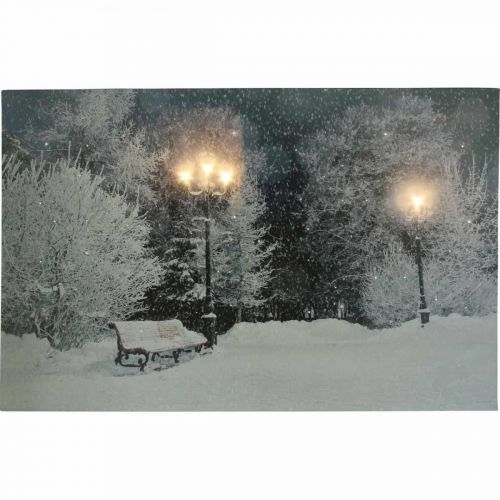Artikel LED Bild Weihnachten Winterlandschaft mit Parkbank LED Wandbild 58x38cm