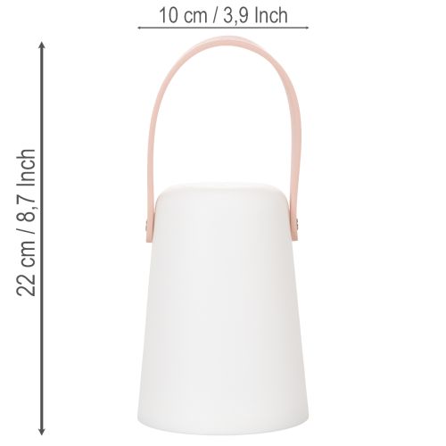 Lampen-Set tragbare LED 22 cm Kunststoff warmweiß Outdoor/Indoor | Floristik21.de