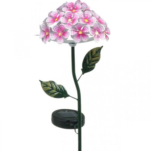 Floristik21 Solar-Blume, LED-Gartendeko, Deko-Chrysantheme Rosa L55cm Ø15cm