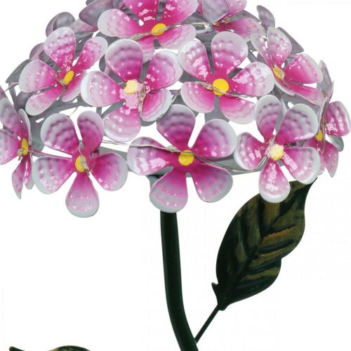 Floristik21 Solar-Blume, LED-Gartendeko, Deko-Chrysantheme Rosa L55cm Ø15cm