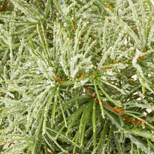 Artikel Dekorative Lärchengirlande 250cm - Künstliche Weihnachtsdeko in geeister Optik