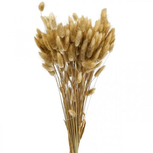 Lagurus Getrocknet Hasenschwanzgras Natur 65-70cm 100g