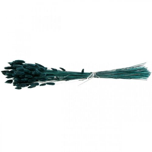 Floristik21 Lagurus Getrocknet Hasenschwanzgras Dunkelgrün 65-70cm 100g