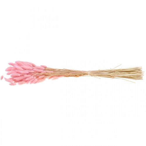 Floristik21 Lagurus getrocknet Hasenschwanzgras Hellrosa 65-70cm 100g