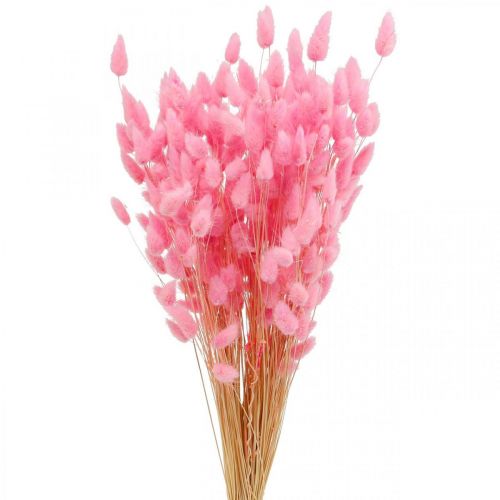 Floristik21 Lagurus Getrocknet Hasenschwanzgras Pink 65-70cm 100g