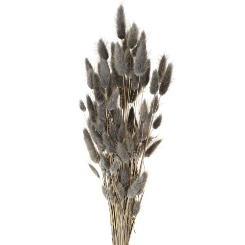 Artikel Lagurus getrocknet Hasenschwanzgras Grau 45-55cm 50g Dekoration Trockenfloristik