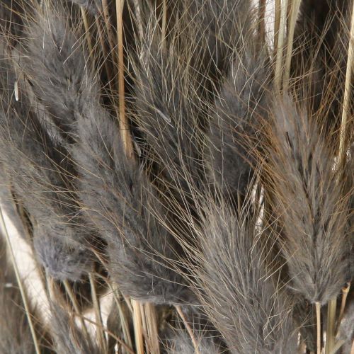 Artikel Lagurus getrocknet Hasenschwanzgras Grau 45-55cm 50g Dekoration Trockenfloristik