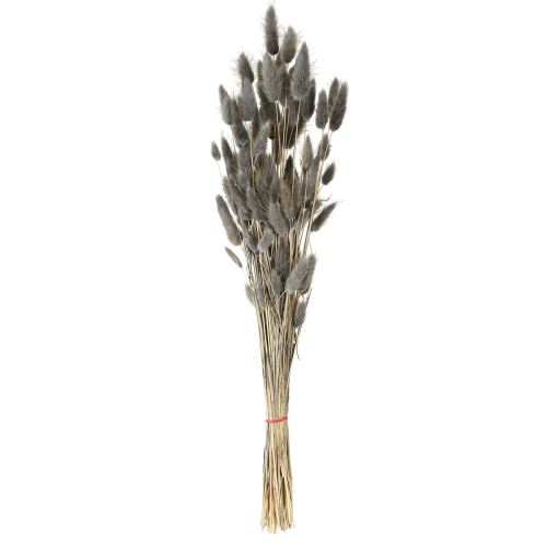 Artikel Lagurus getrocknet Hasenschwanzgras Grau 45-55cm 50g Dekoration Trockenfloristik