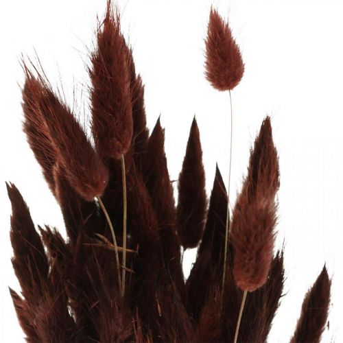 Artikel Trockenfloristik, Deko-Gras, Lagurus Braun L35–50cm 25g