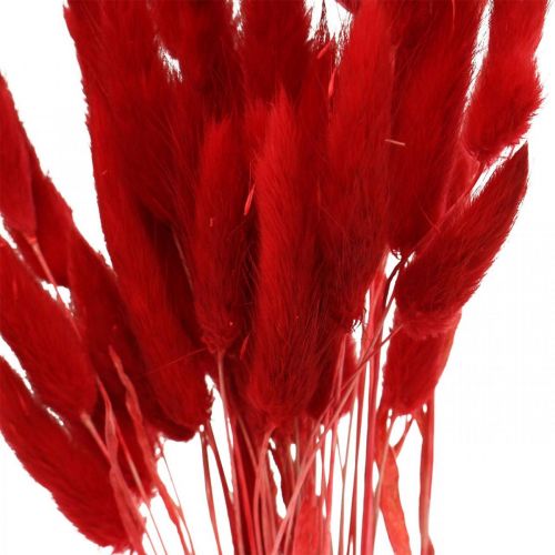 Artikel Deko-Gras Rot, Lagurus, Samtgras, Trockenfloristik L30–50cm 20g