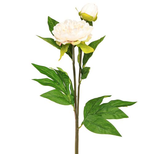 Floristik21 Lange künstliche Pfingstrosen Creme 70cm 3St für elegante Dekorationen